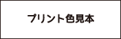 プリント色見本