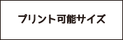 プリント可能サイズ