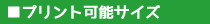 プリント可能サイズ